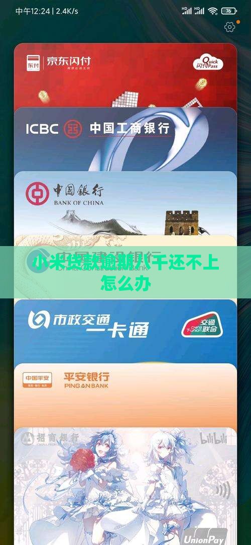 小米贷款欠八千多