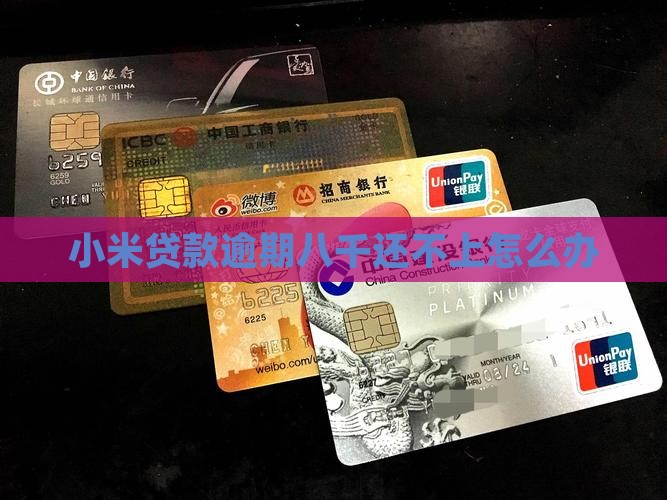 小米贷款欠八千多