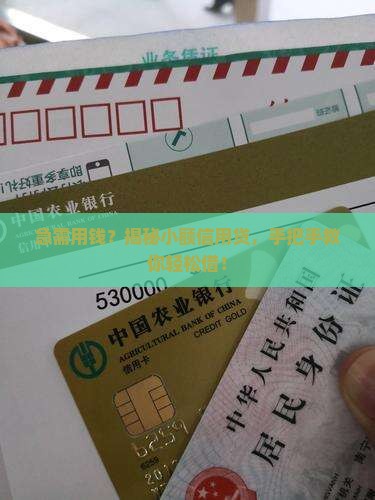 小额信用贷款q