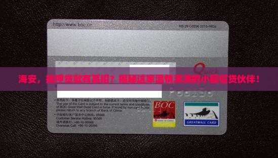 海安抵押贷款公司