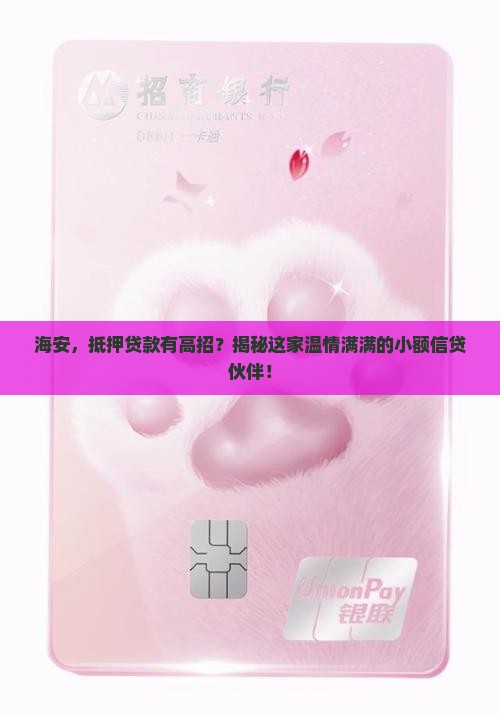 海安抵押贷款公司