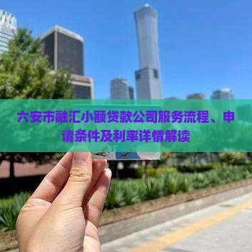 六安市融汇小额贷款