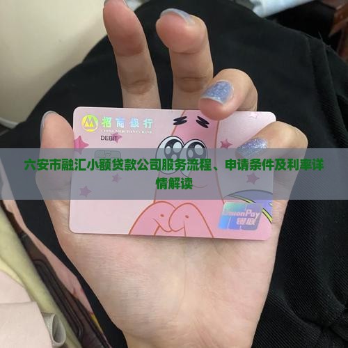 六安市融汇小额贷款
