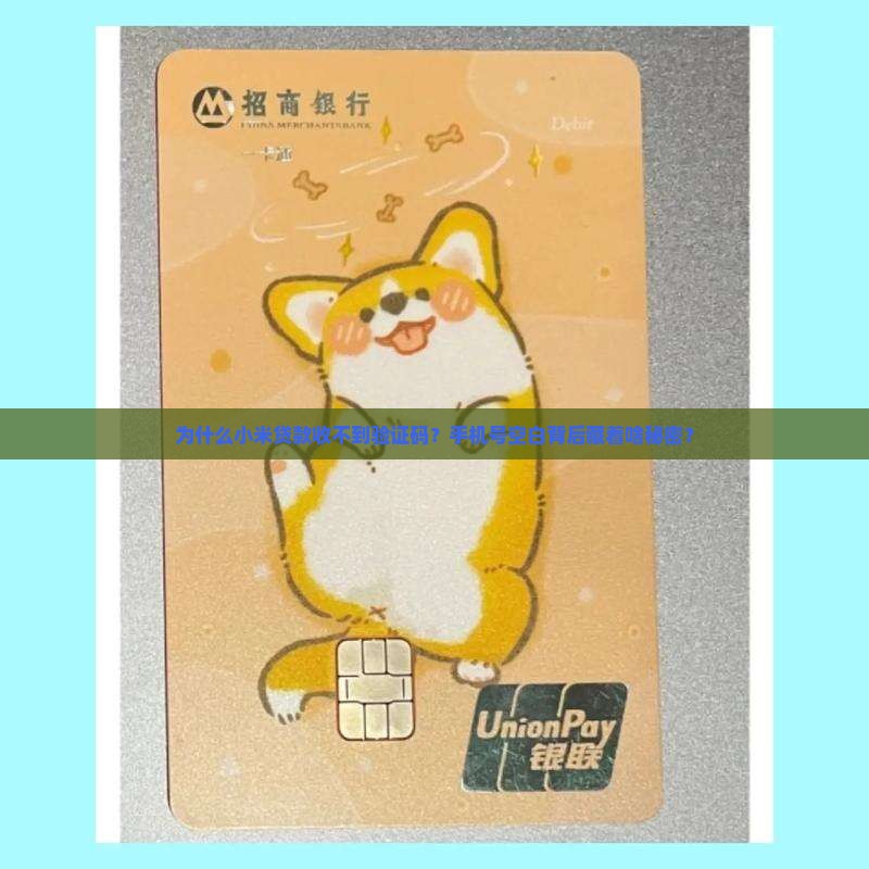 小米贷款验证手机号空白