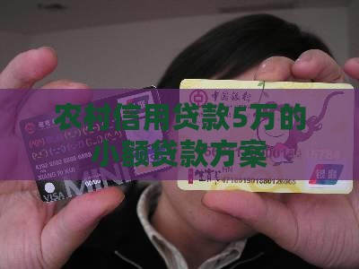 农村信用小额贷款5万