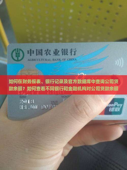 公司贷款余额在哪里找