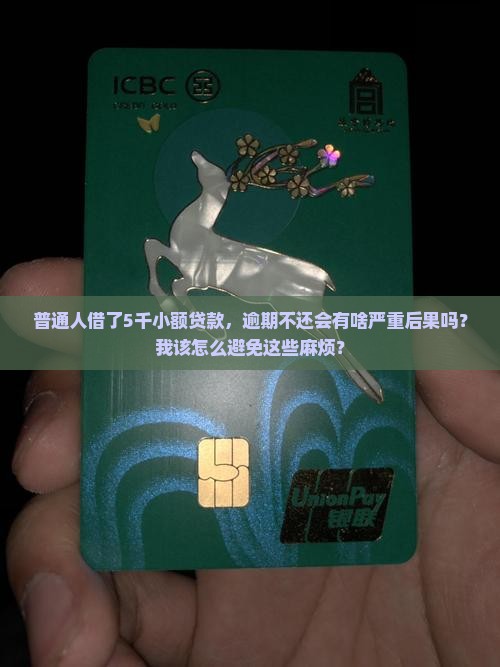 小额贷款后果怎样