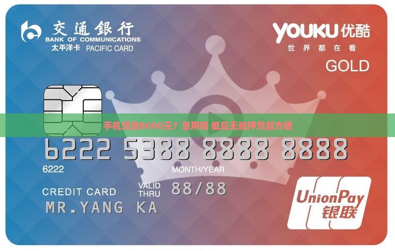 手机贷款8000元