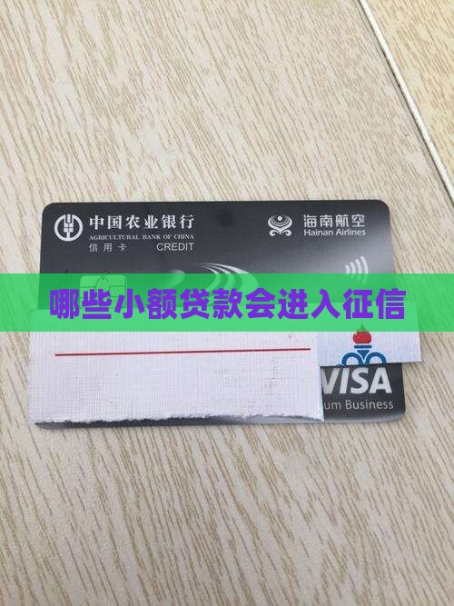 小额贷款有哪些进入征信