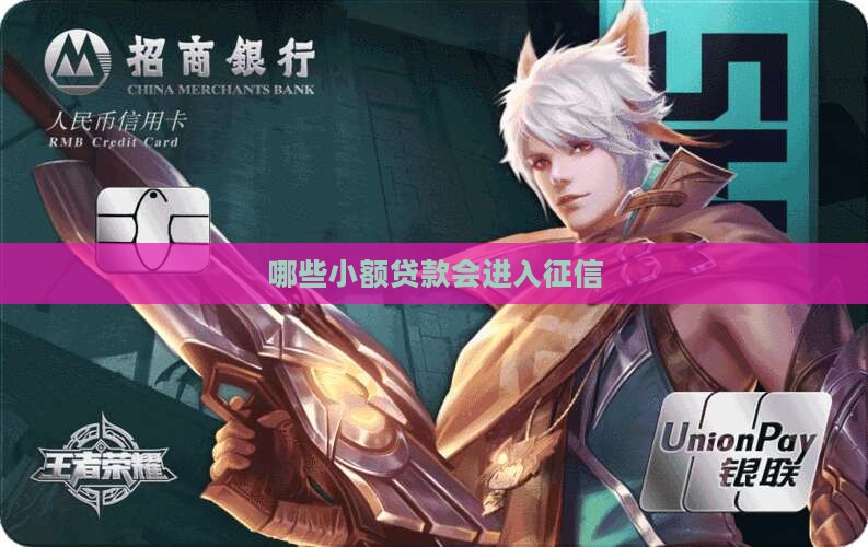 小额贷款有哪些进入征信