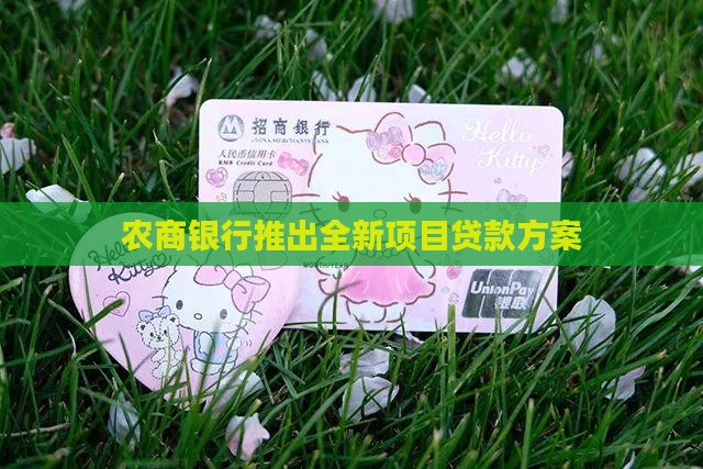 农村商业银行项目贷款