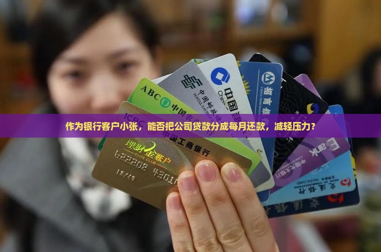 公司贷款可以分成月供吗