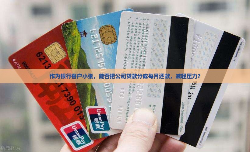 公司贷款可以分成月供吗