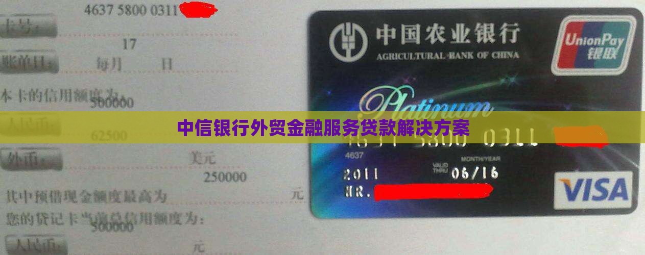 中心银行外贸贷款