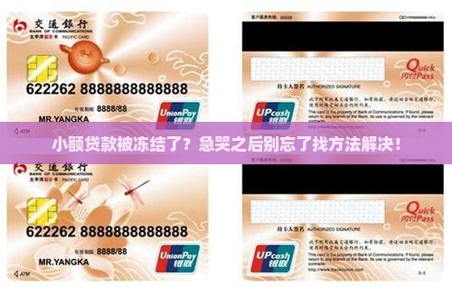 小额贷款如何冻结
