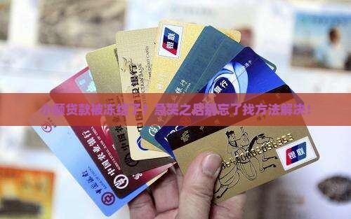 小额贷款如何冻结