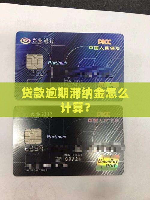 小额贷款滞纳金怎么算