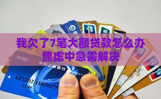 个人征信有很多大额贷款