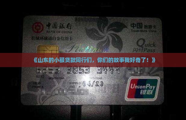 山东小额贷款同业