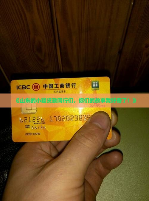 山东小额贷款同业