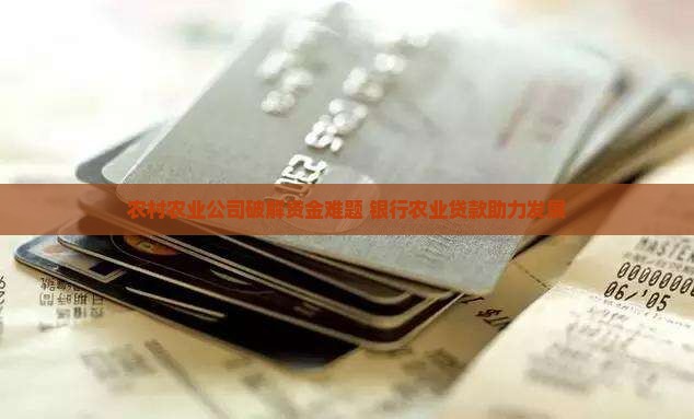 农业公司缺资金贷款