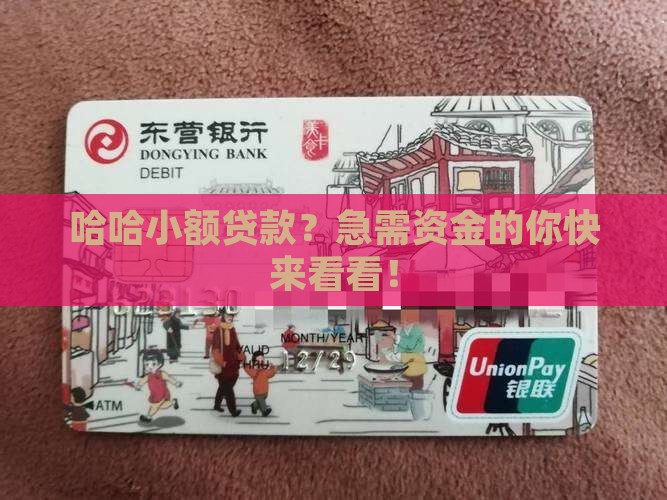 哈哈小额贷款
