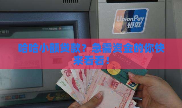哈哈小额贷款