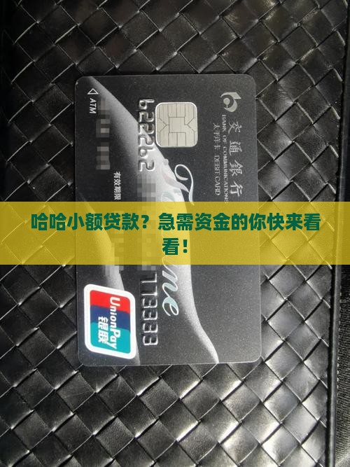 哈哈小额贷款