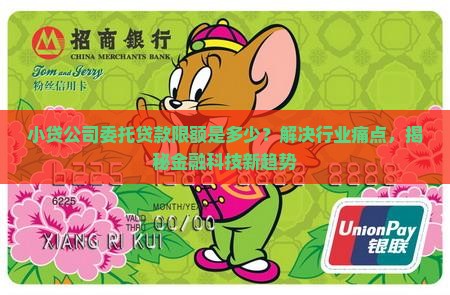 小贷公司委托贷款限额