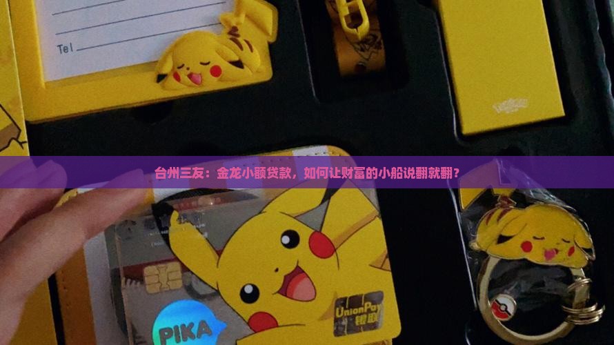 台州三友金龙小额贷款