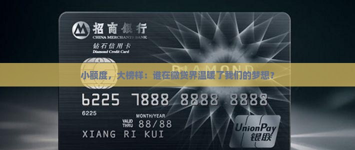 小额贷款的榜样