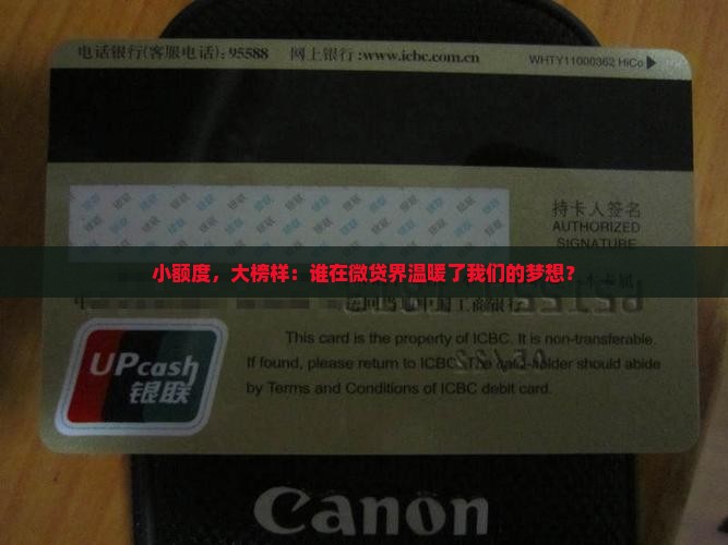 小额贷款的榜样