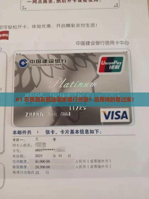 农民贷款找哪个银行