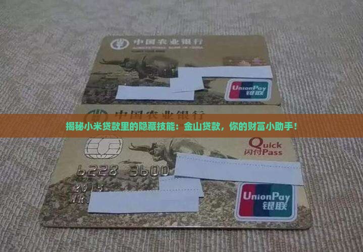 小米贷款里面的金山贷款