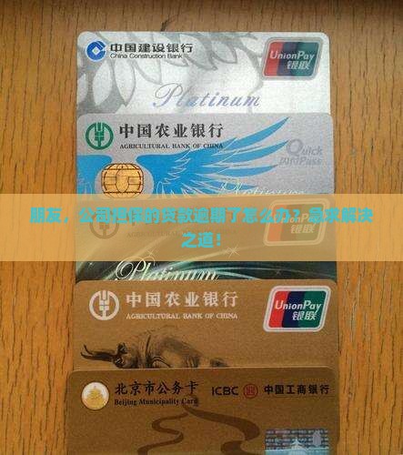 公司担保贷款还不上了