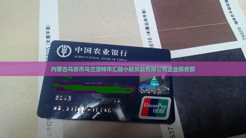 乌苏丁相英小额贷款工司