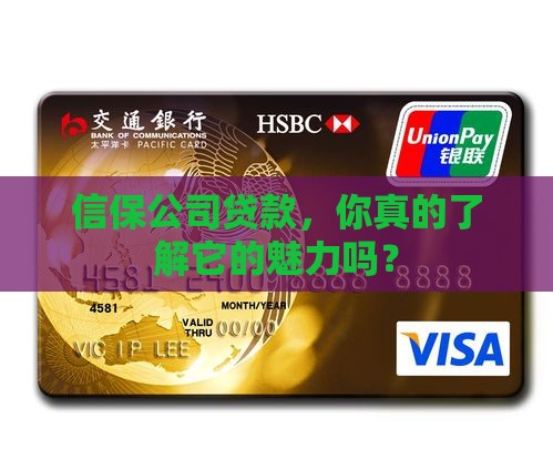 信保公司属于什么贷款