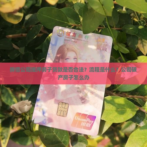 拆借公司抵押房子贷款