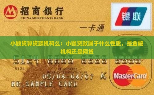 小额贷算贷款机构么