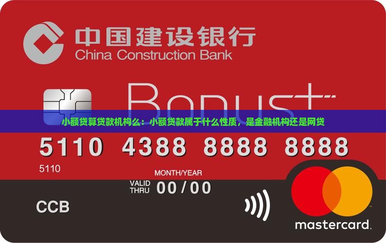 小额贷算贷款机构么