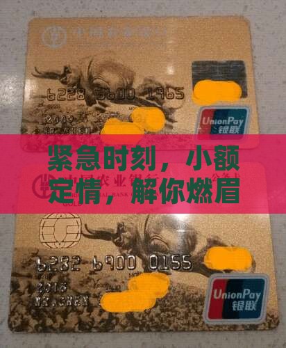 小额贷款临时救急