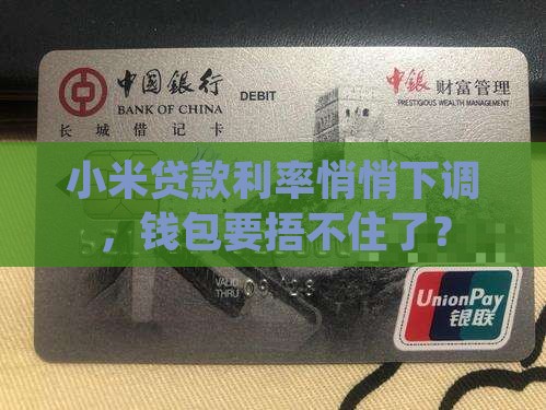 小米贷款这么降息