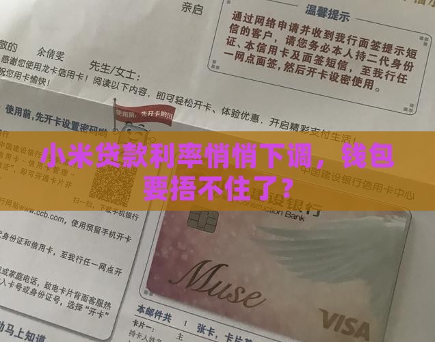 小米贷款这么降息