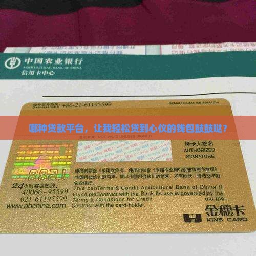 个人贷款用哪个平台