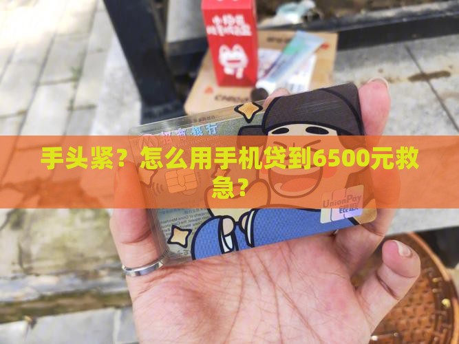 手机贷款6500怎么办