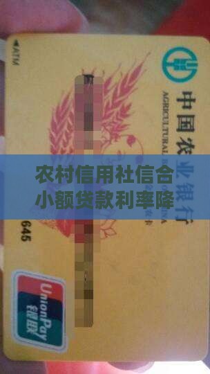 信合小额贷款利率最低