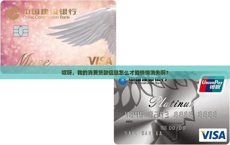 如何清掉消费贷款信息呢