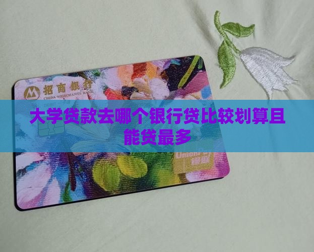 大学贷款去哪个银行贷