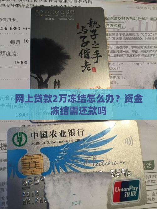 网上贷款2万冻结怎么办