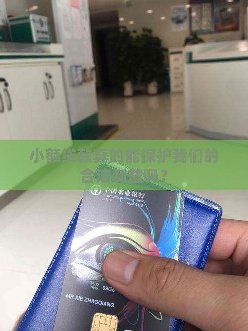 小额贷款合法利益有哪些